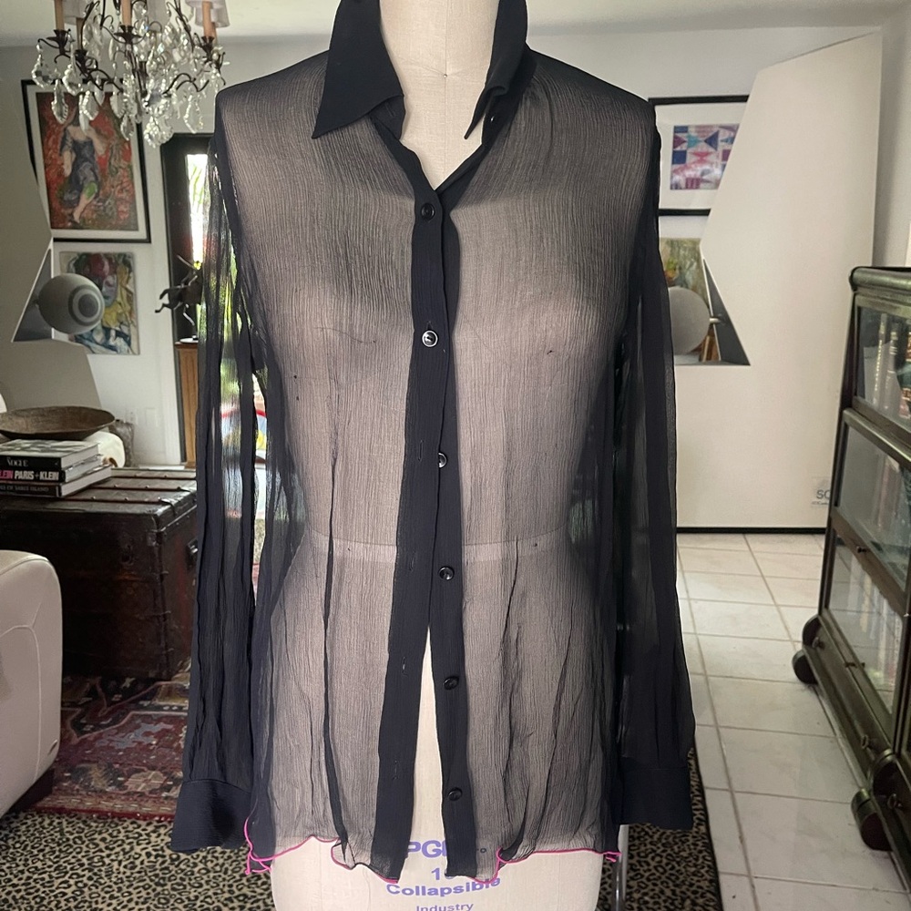 Zara Sheer Black Button-Up Blouse